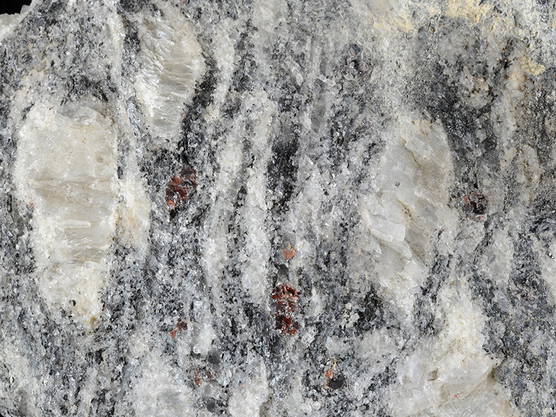 Garnet-biotite augen gneiss