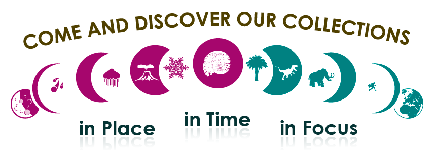 Come and discover our collections