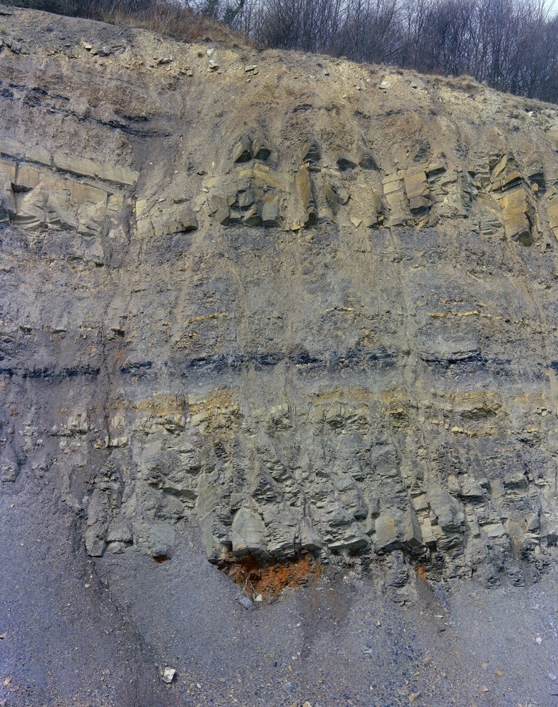 Interbedded Carboniferous sandstones and mudstones