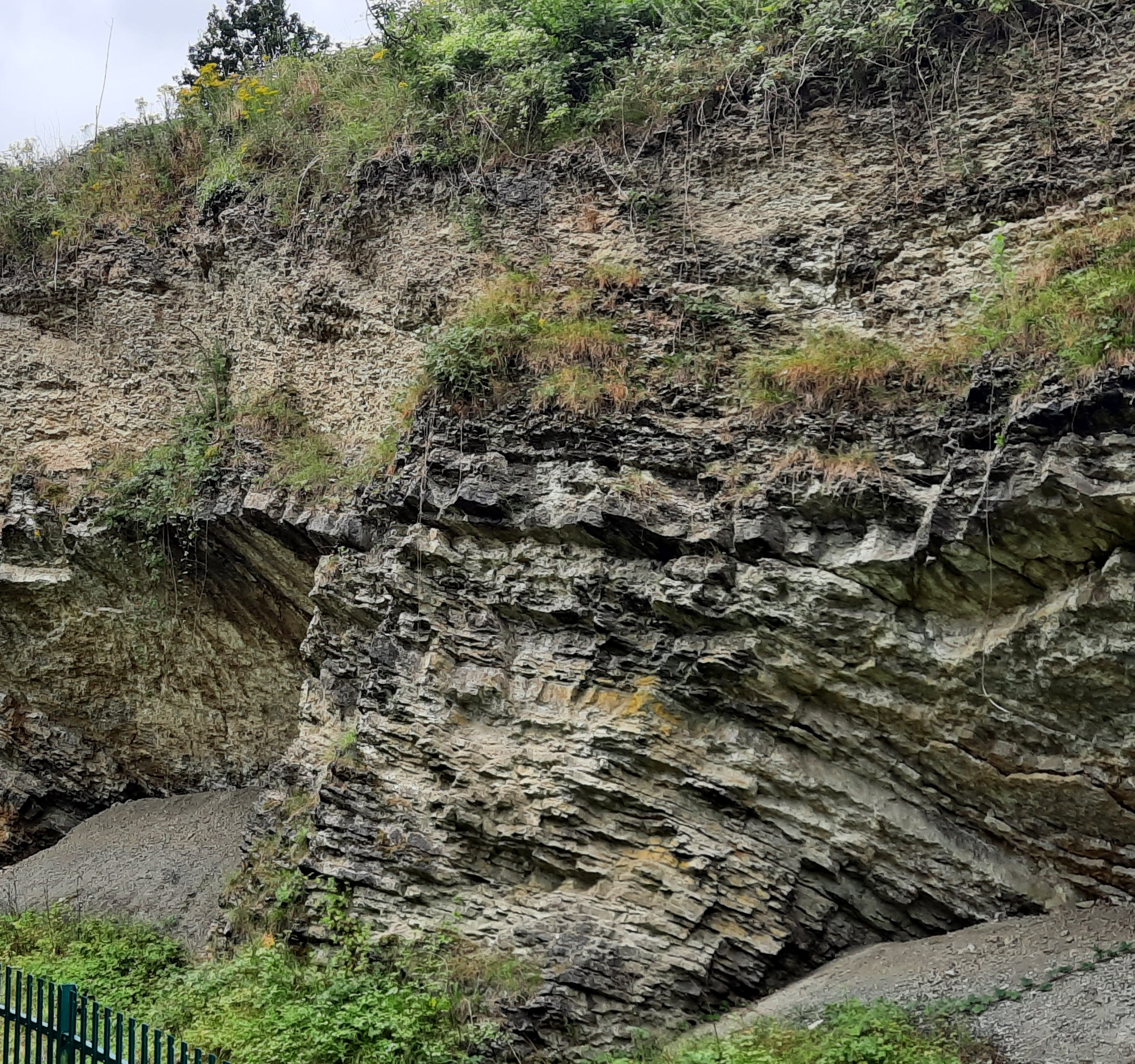 Exposure of Lower Quarried limestone at Wren's Nest