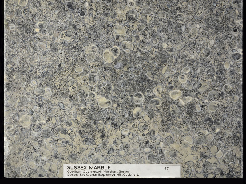 Limestone- Sussex Marble