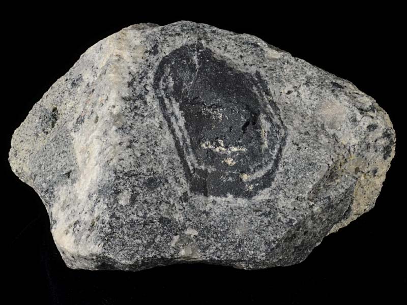width 7 cm