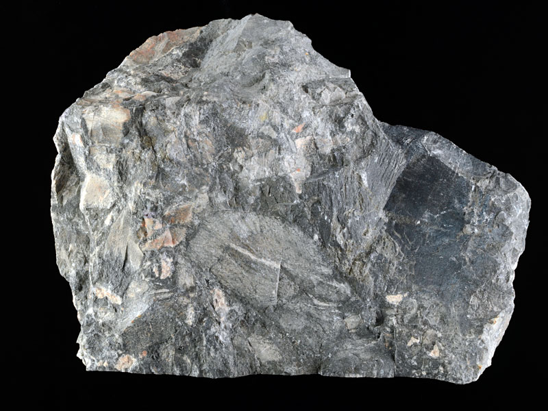 breccia - width 18.5 cm