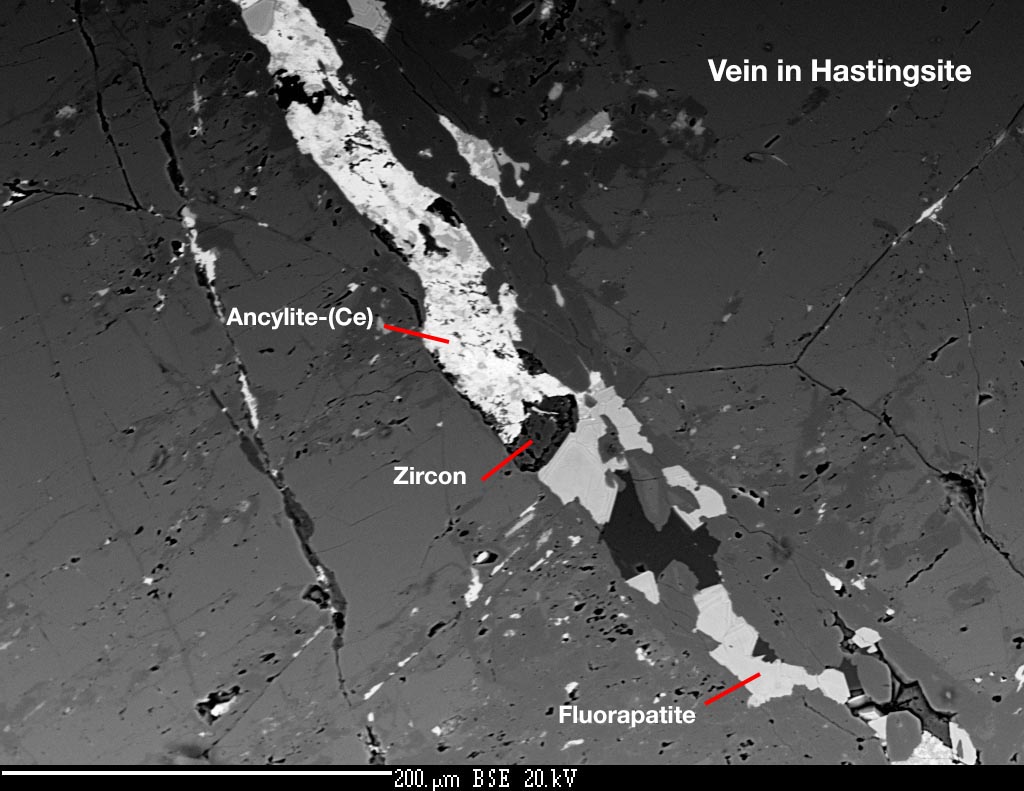 Composite vein infill in hastingsite (BSE image)