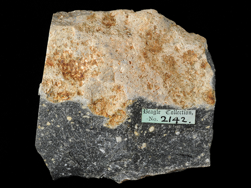 Hornblende porphyrite