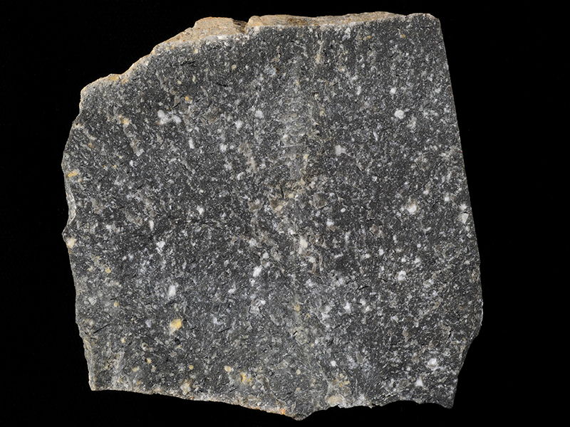 Hornblende porphyrite