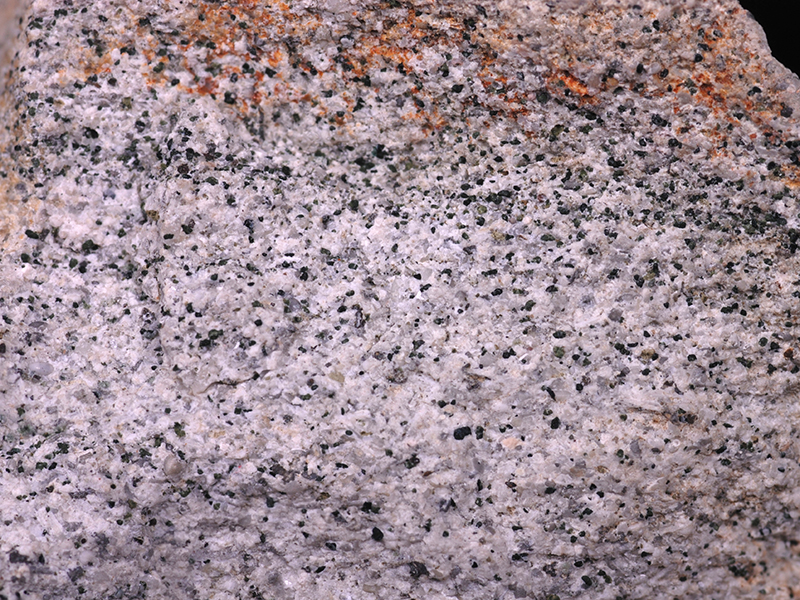 Foraminifera limestone