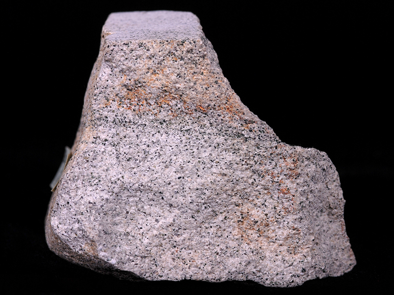 Foraminifera limestone