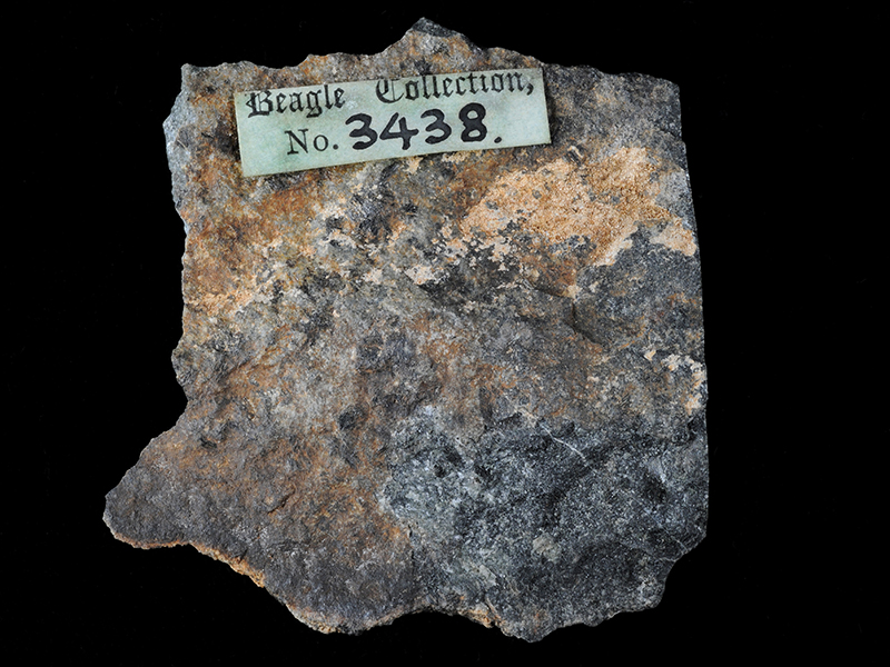 Hornblende porphyrite - Blue Mountains