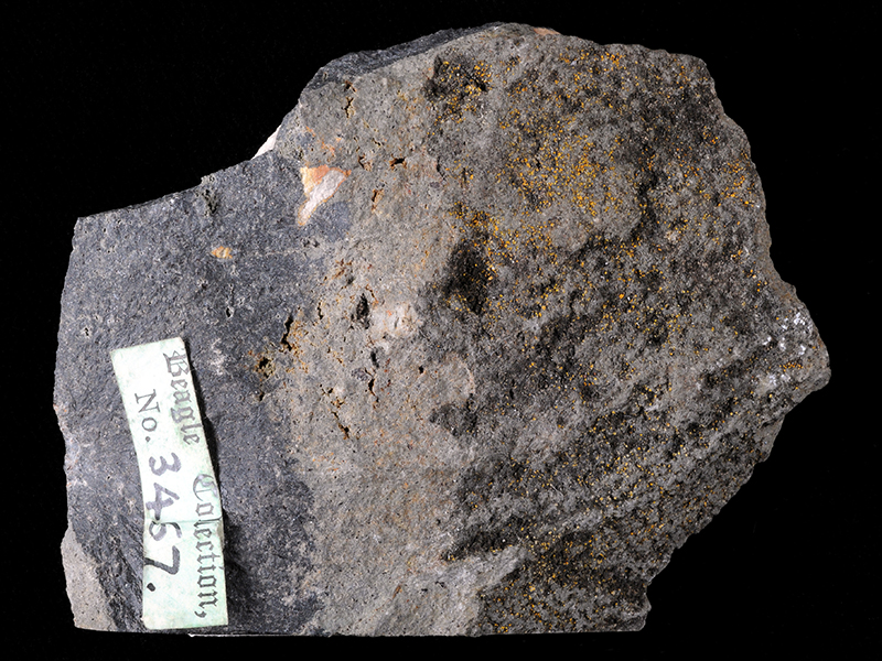 Nepheline basanite with iddingsite