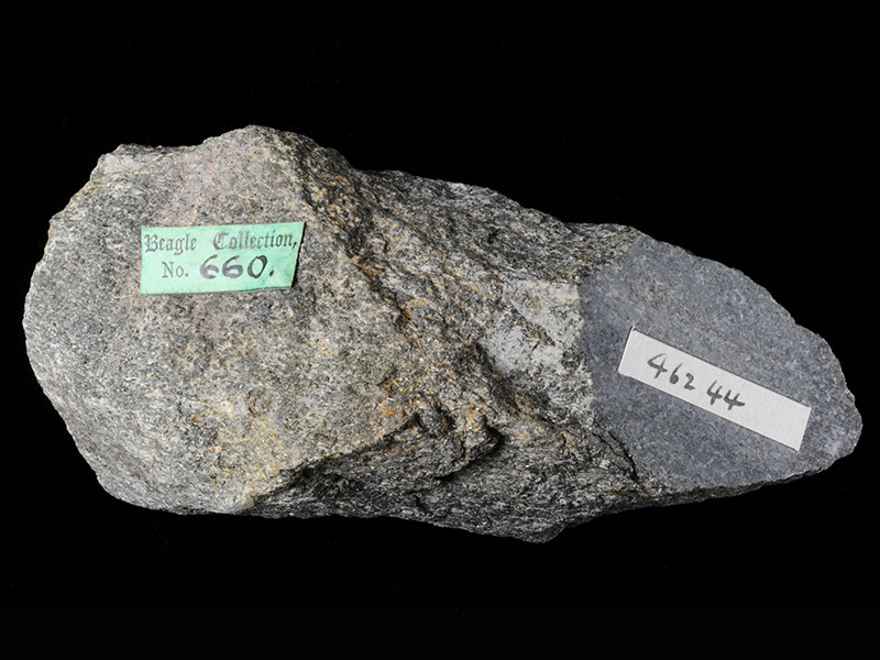 Hornblende schist