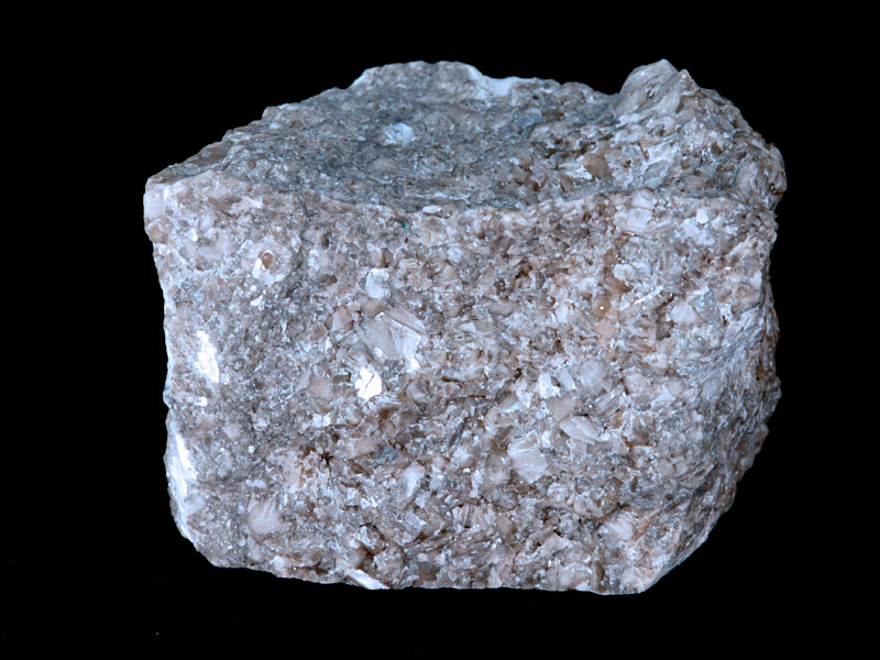 crinoidal limestone - width 4 cm