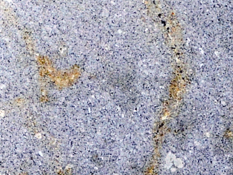 Detail showing alteration along cracks 2.8cm