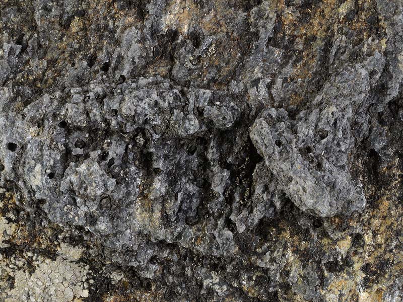 width 2.8 cm