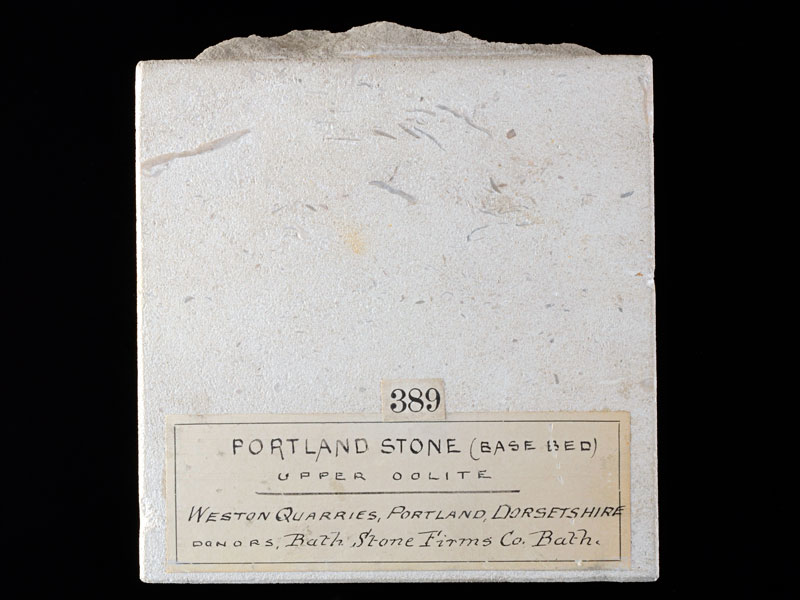 Portland Stone - width 11.4 cm