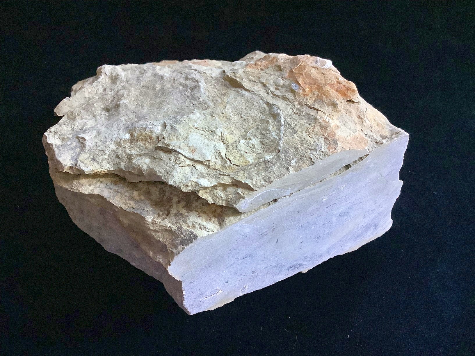 Hand specimen of limestone on black background