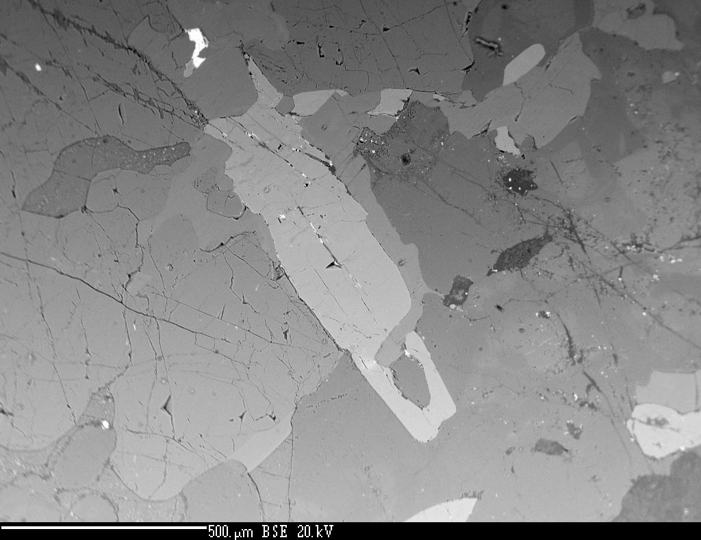 Fluorapatite (BSE image)