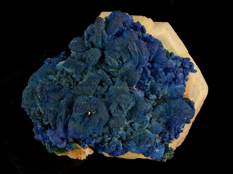 Azurite on quartz 4 cm across