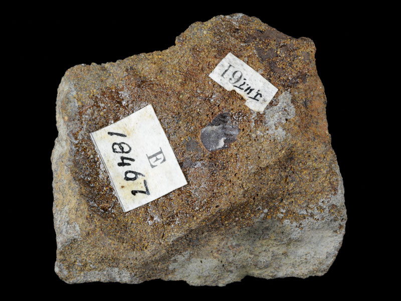Hand specimen of Oolitic limestone