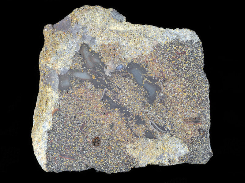 Hand specimen of Oolitic limestone