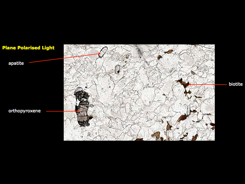 Myrmekitic granulite/charnockite