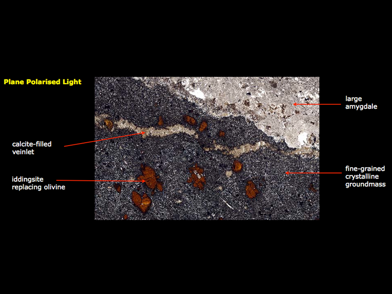 Nepheline basanite with iddingsite