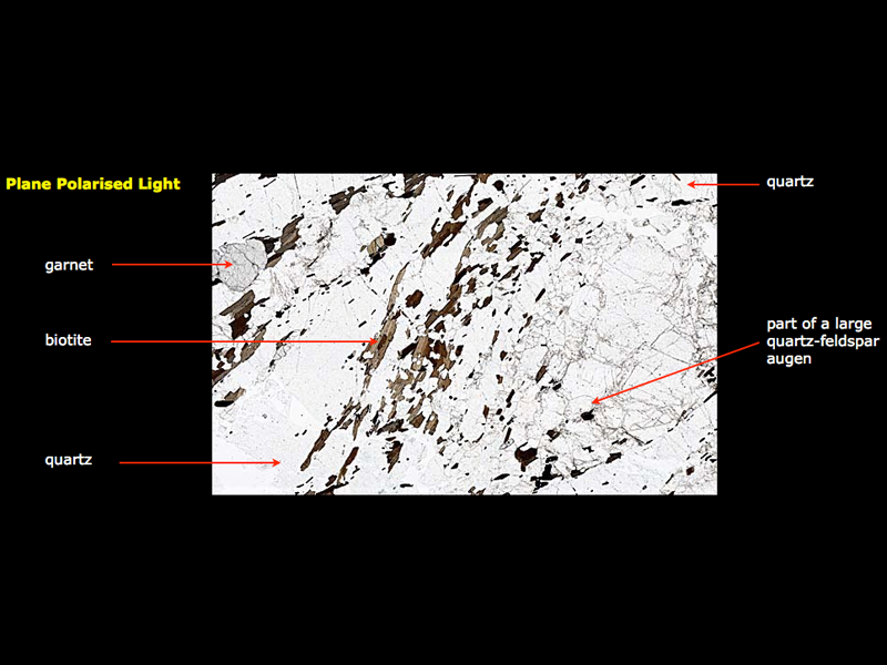 Garnet-biotite augen gneiss