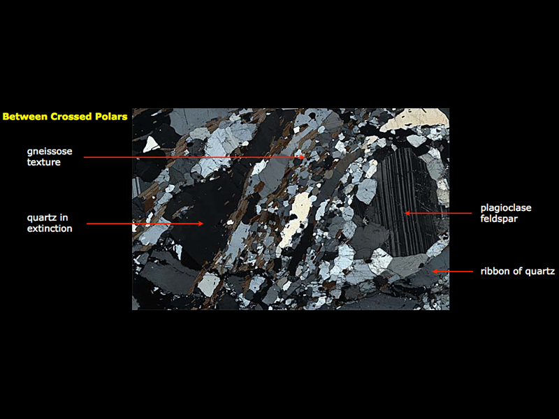 Garnet-biotite augen gneiss