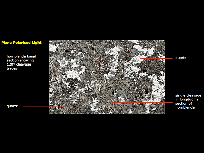 Hornblende schist