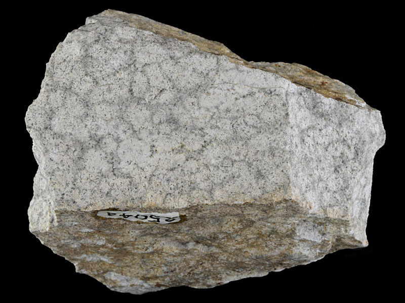Metasandstone - width 6.6 cm