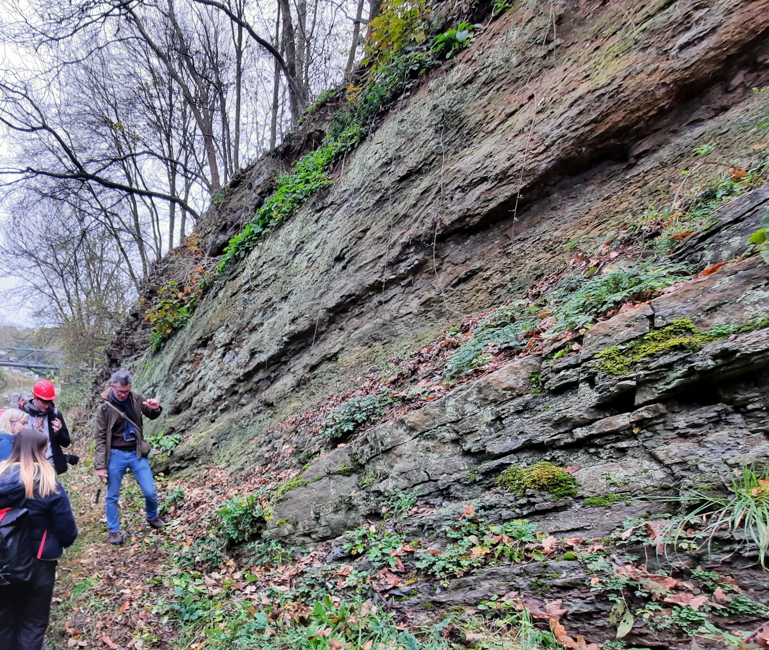 Exposure of Carboniferous conglomerate at Brewin's Cutting