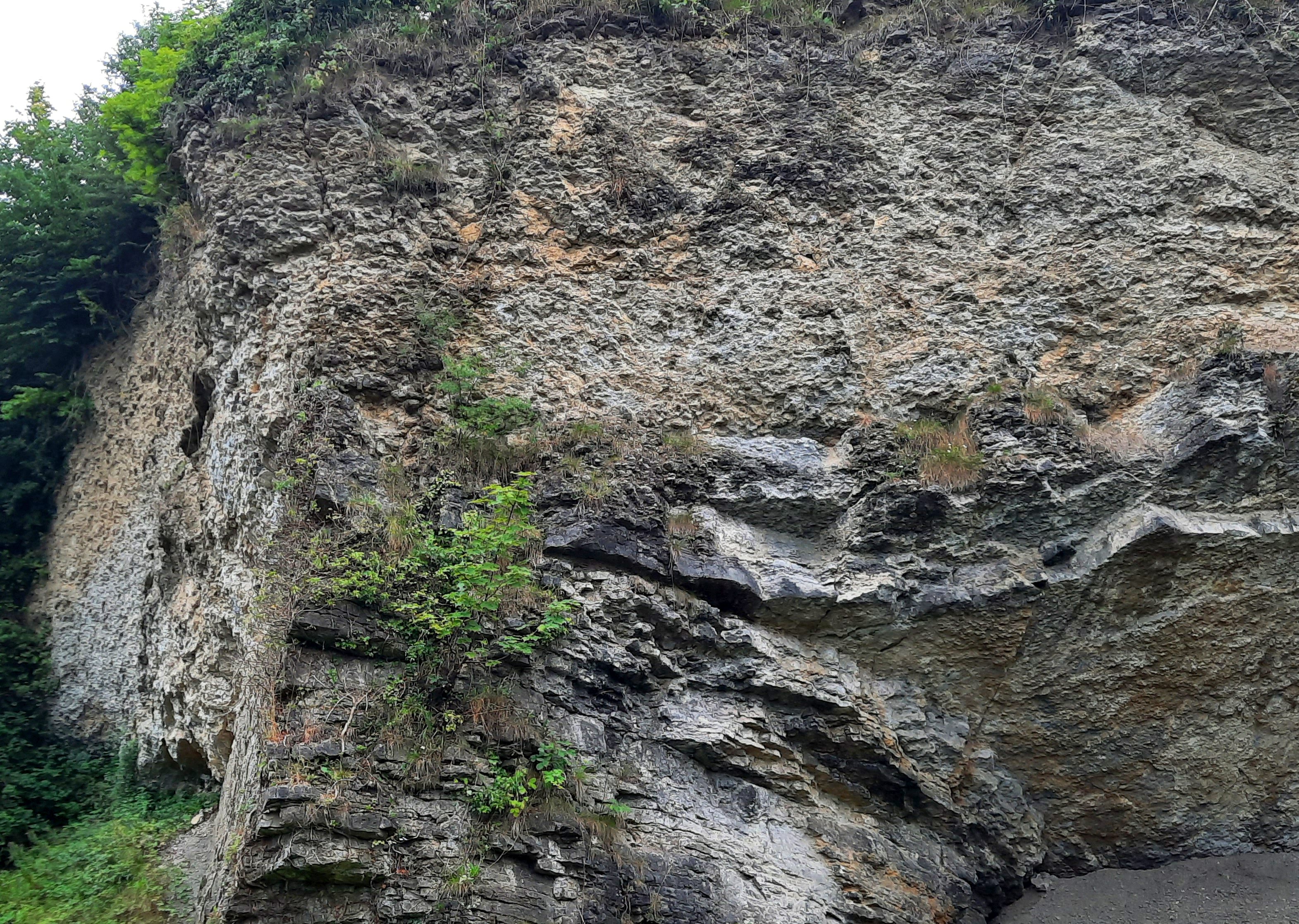 Field photograph of Silurian Nodular limestone at Wren's Nest