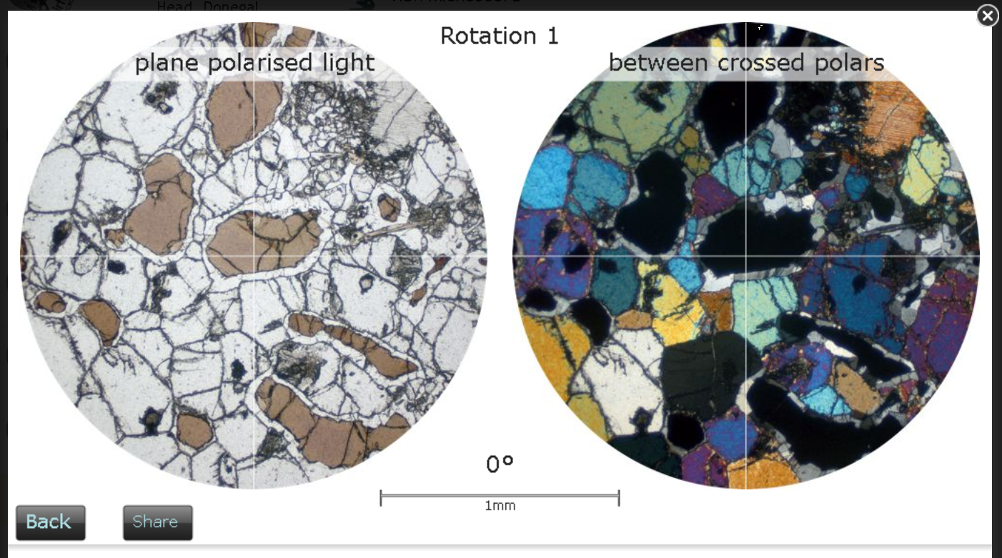 two circular views of rotation point: ppl and xpl views