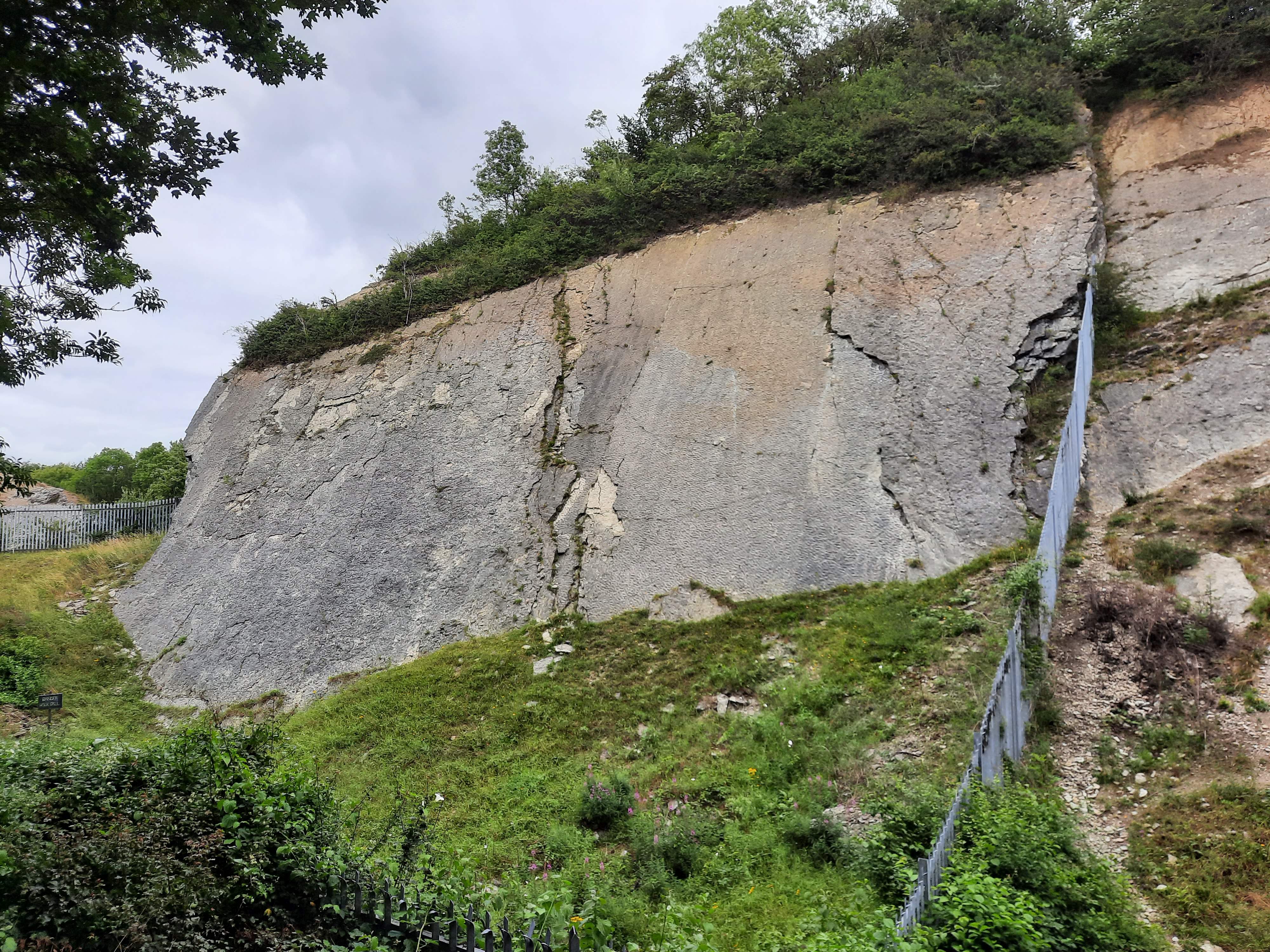 Rippled bedding of the Nodular Limestone at Wren's Nest